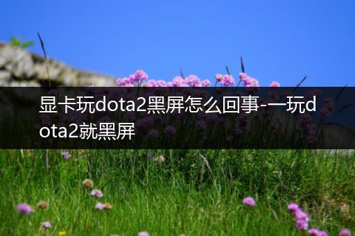 显卡玩dota2黑屏怎么回事-一玩dota2就黑屏