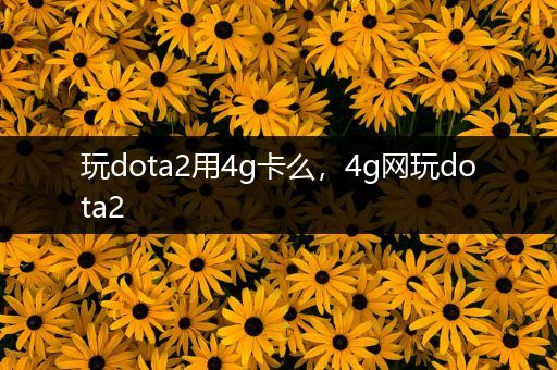 玩dota2用4g卡么，4g网玩dota2