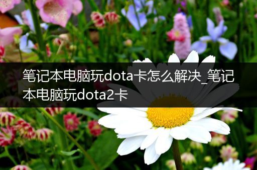 笔记本电脑玩dota卡怎么解决_笔记本电脑玩dota2卡
