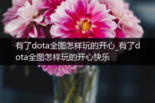 有了dota全图怎样玩的开心_有了dota全图怎样玩的开心快乐