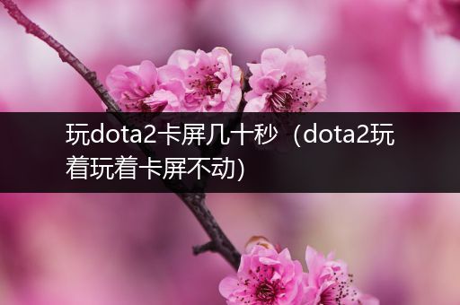玩dota2卡屏几十秒（dota2玩着玩着卡屏不动）