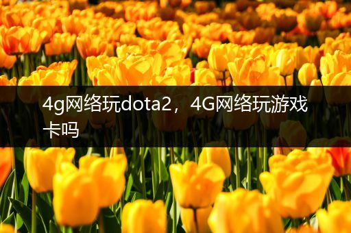 4g网络玩dota2，4G网络玩游戏卡吗