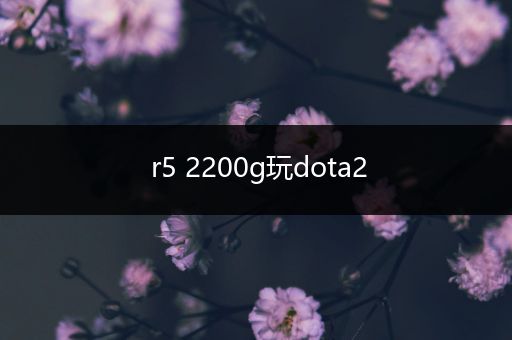 r5 2200g玩dota2