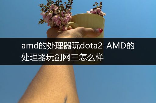 amd的处理器玩dota2-AMD的处理器玩剑网三怎么样