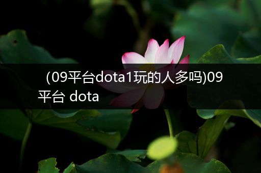 （09平台dota1玩的人多吗)09平台 dota