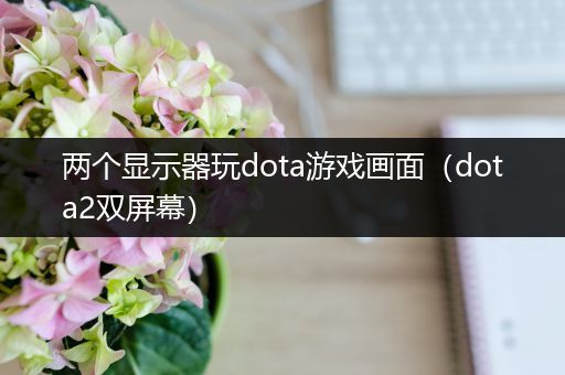 两个显示器玩dota游戏画面（dota2双屏幕）