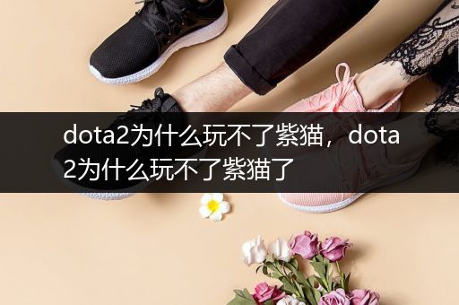 dota2为什么玩不了紫猫，dota2为什么玩不了紫猫了
