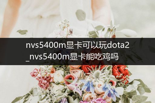 nvs5400m显卡可以玩dota2_nvs5400m显卡能吃鸡吗