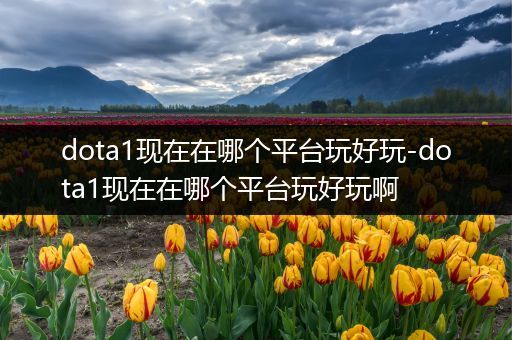 dota1现在在哪个平台玩好玩-dota1现在在哪个平台玩好玩啊