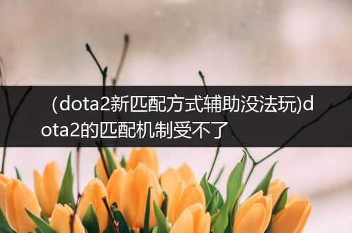 （dota2新匹配方式辅助没法玩)dota2的匹配机制受不了