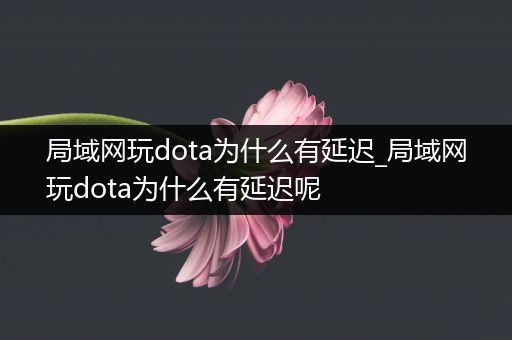 局域网玩dota为什么有延迟_局域网玩dota为什么有延迟呢