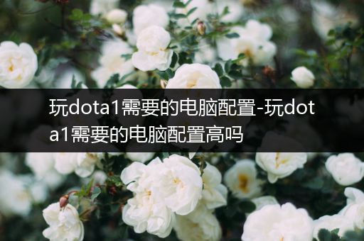 玩dota1需要的电脑配置-玩dota1需要的电脑配置高吗