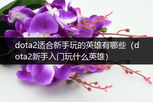 dota2适合新手玩的英雄有哪些（dota2新手入门玩什么英雄）