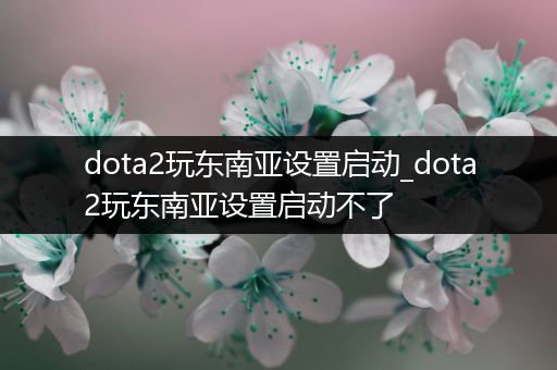 dota2玩东南亚设置启动_dota2玩东南亚设置启动不了