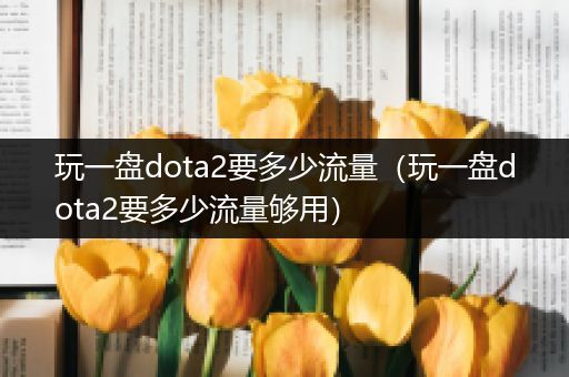 玩一盘dota2要多少流量（玩一盘dota2要多少流量够用）