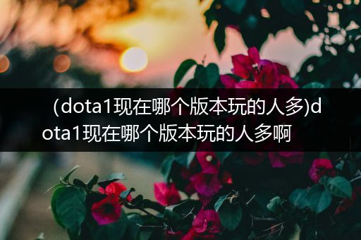 （dota1现在哪个版本玩的人多)dota1现在哪个版本玩的人多啊