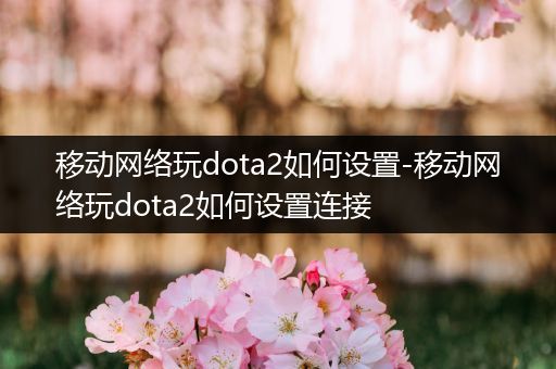 移动网络玩dota2如何设置-移动网络玩dota2如何设置连接