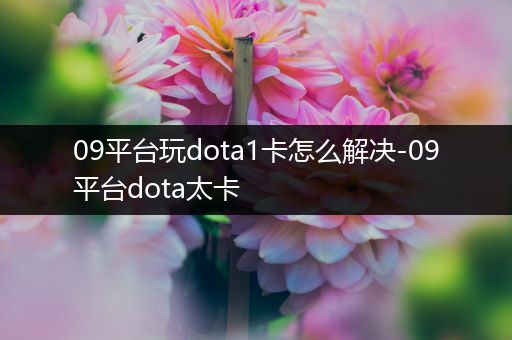 09平台玩dota1卡怎么解决-09平台dota太卡