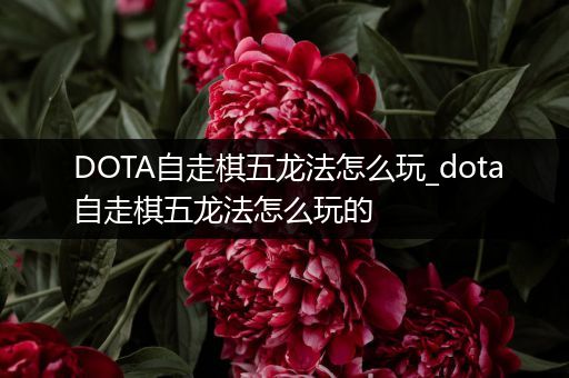 DOTA自走棋五龙法怎么玩_dota自走棋五龙法怎么玩的