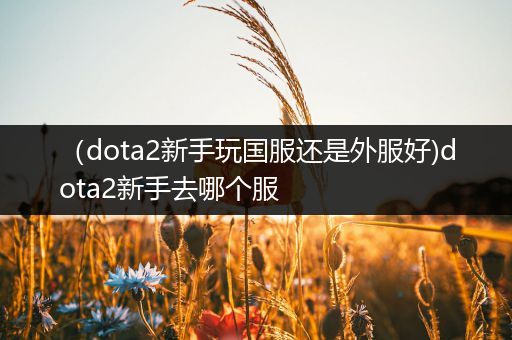 （dota2新手玩国服还是外服好)dota2新手去哪个服