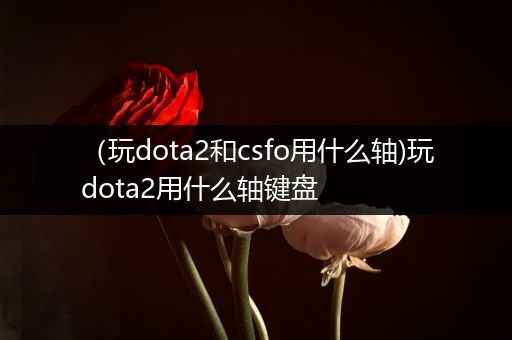 （玩dota2和csfo用什么轴)玩dota2用什么轴键盘