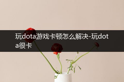 玩dota游戏卡顿怎么解决-玩dota很卡