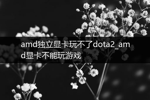 amd独立显卡玩不了dota2_amd显卡不能玩游戏