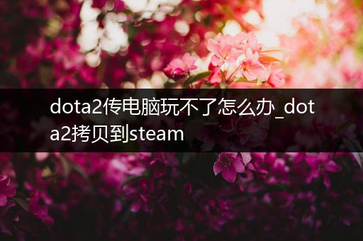 dota2传电脑玩不了怎么办_dota2拷贝到steam