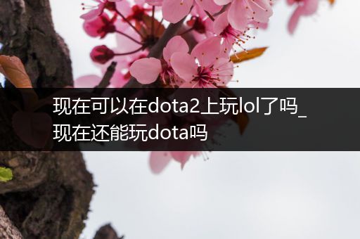 现在可以在dota2上玩lol了吗_现在还能玩dota吗