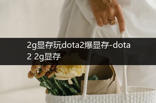 2g显存玩dota2爆显存-dota2 2g显存