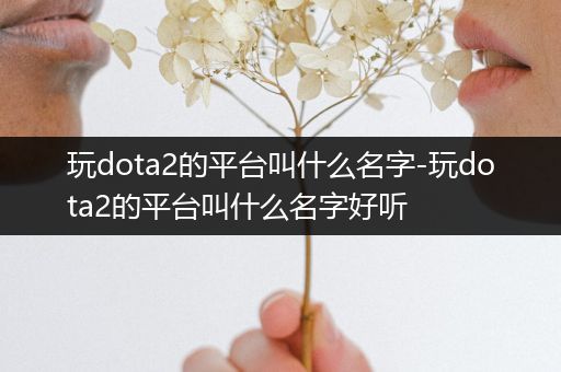 玩dota2的平台叫什么名字-玩dota2的平台叫什么名字好听