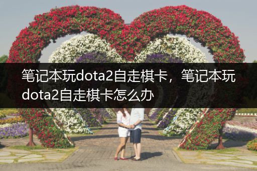 笔记本玩dota2自走棋卡，笔记本玩dota2自走棋卡怎么办