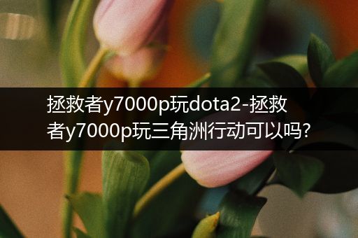 拯救者y7000p玩dota2-拯救者y7000p玩三角洲行动可以吗?