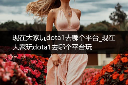 现在大家玩dota1去哪个平台_现在大家玩dota1去哪个平台玩
