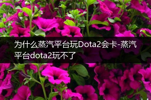 为什么蒸汽平台玩Dota2会卡-蒸汽平台dota2玩不了