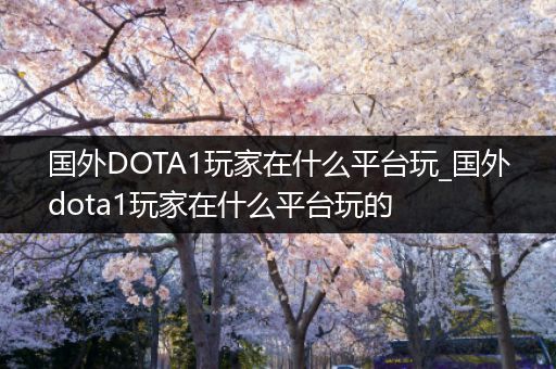 国外DOTA1玩家在什么平台玩_国外dota1玩家在什么平台玩的
