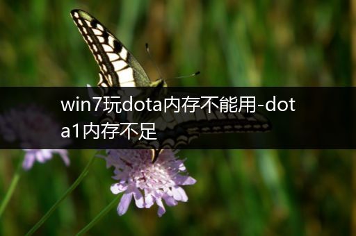 win7玩dota内存不能用-dota1内存不足