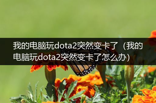 我的电脑玩dota2突然变卡了（我的电脑玩dota2突然变卡了怎么办）