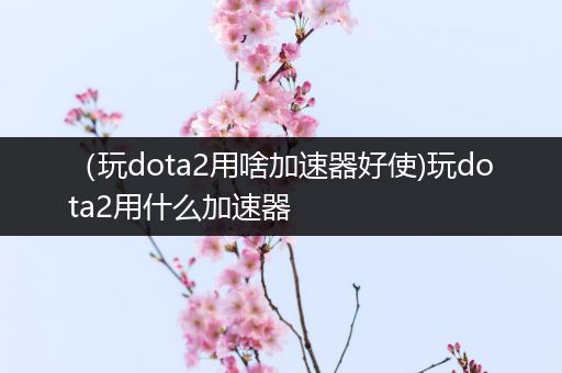 （玩dota2用啥加速器好使)玩dota2用什么加速器