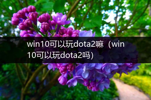 win10可以玩dota2嘛（win10可以玩dota2吗）