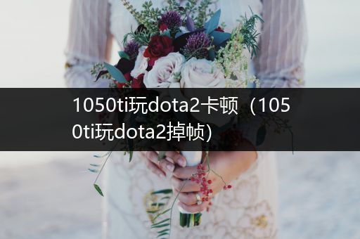 1050ti玩dota2卡顿（1050ti玩dota2掉帧）