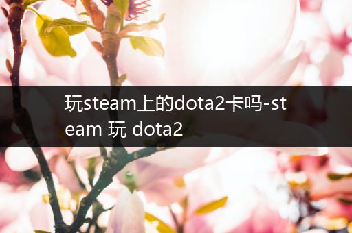 玩steam上的dota2卡吗-steam 玩 dota2