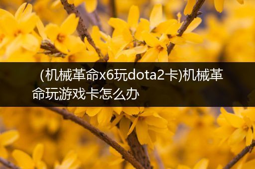 （机械革命x6玩dota2卡)机械革命玩游戏卡怎么办