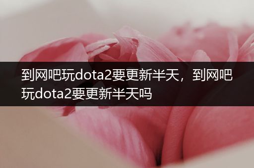 到网吧玩dota2要更新半天，到网吧玩dota2要更新半天吗