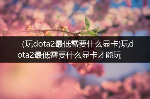 （玩dota2最低需要什么显卡)玩dota2最低需要什么显卡才能玩