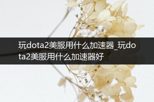 玩dota2美服用什么加速器_玩dota2美服用什么加速器好