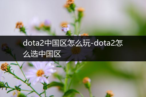 dota2中国区怎么玩-dota2怎么选中国区