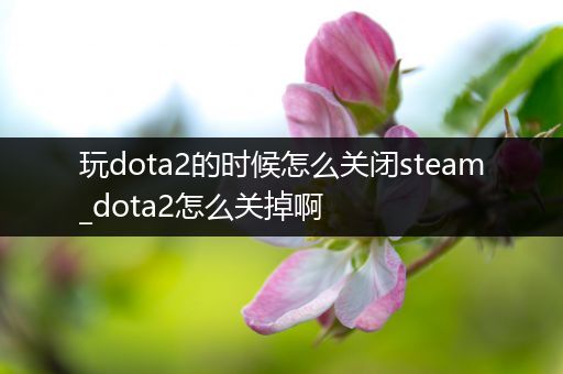 玩dota2的时候怎么关闭steam_dota2怎么关掉啊