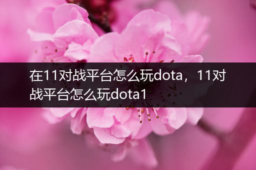 在11对战平台怎么玩dota，11对战平台怎么玩dota1