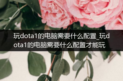 玩dota1的电脑需要什么配置_玩dota1的电脑需要什么配置才能玩